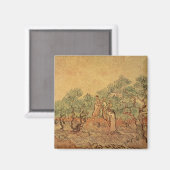 Vincent van Gogh | Der Olivenhain, 1889 Magnet (Vorderseite/Rückseite)