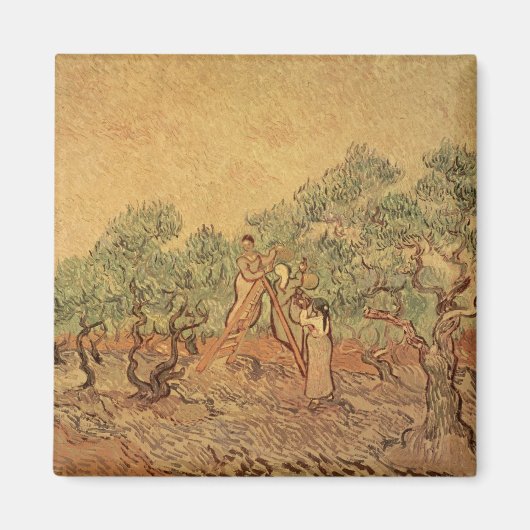 Vincent van Gogh | Der Olivenhain, 1889 Magnet (Vorne)