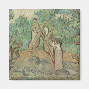 Vincent Van Gogh Der Olivenhain Magnet