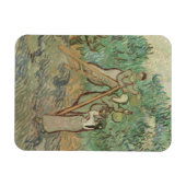 Vincent Van Gogh | Der Olivenhain Magnet (Horizontal)