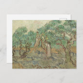 Vincent Van Gogh | Der Olivenhain Postkarte (Vorne/Hinten)