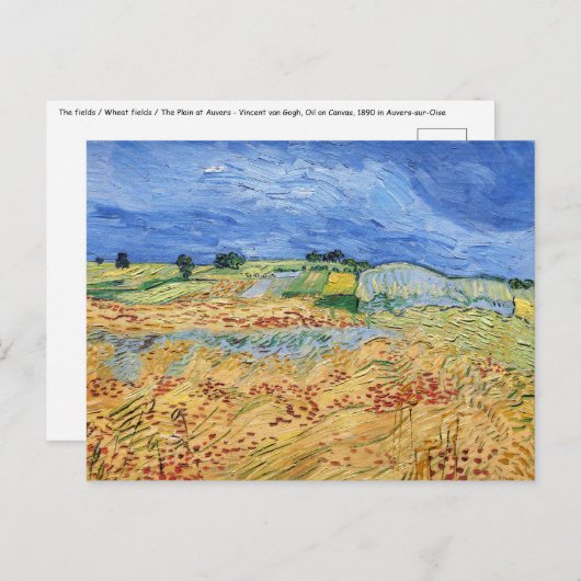 Vincent van Gogh - Die Felder / Schlicht bei Auver Postkarte (Vorne/Hinten)