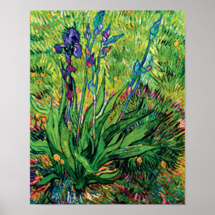 Vincent Van Gogh - Die Iris - Flower Lover Pop Art Poster