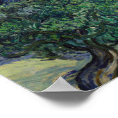 Vincent van Gogh - Die Olivenbäume Poster (Ecke)