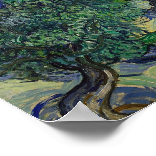 Vincent van Gogh - Die Olivenbäume Poster (Ecke)