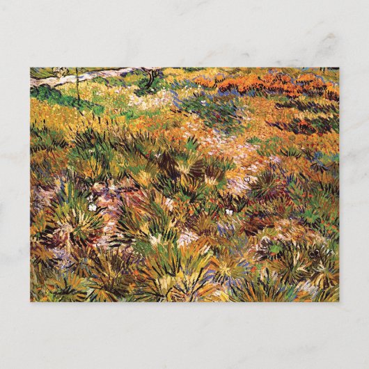 Vincent Van Gogh - Die Wiese im Garten Postkarte (Vorderseite)