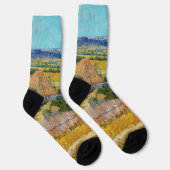 Vincent van Gogh - Ernte bei La Crau Socken (Rechts)