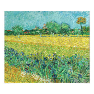 Vincent van Gogh - Feld mit Schwertlilien bei Arle Fotodruck