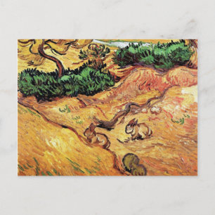 Vincent Van Gogh - Feld mit zwei Kaninchen Kunstfe Postkarte