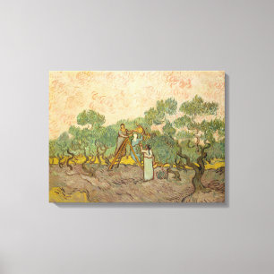 Vincent van Gogh - Frauen beim Olivenpflücken Leinwanddruck