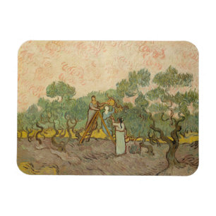 Vincent van Gogh - Frauen, die Oliven pflücken Magnet