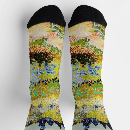 Vincent van Gogh - Garten bei Arles Socken (Oben)
