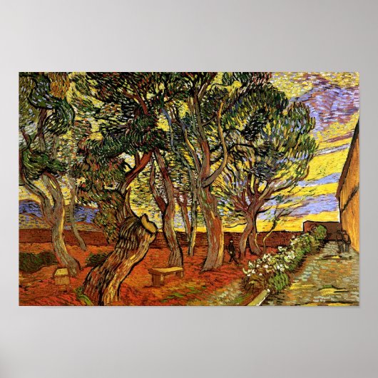 Vincent Van Gogh - Garten des St. Paul Hospital Poster (Vorne)