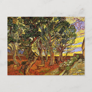 Vincent Van Gogh - Garten des St. Paul Hospital Postkarte