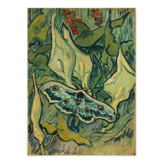 Vincent van Gogh - Giant Peacock Moth Fotodruck (Vorne)