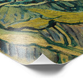 Vincent van Gogh - Giant Peacock Moth Fotodruck (Ecke)