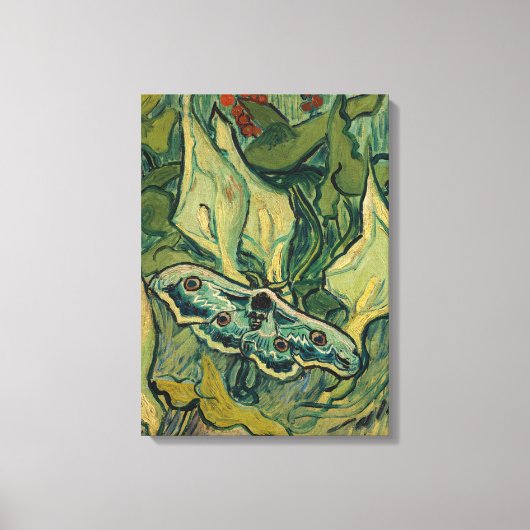 Vincent van Gogh - Giant Peacock Moth Leinwanddruck (Vorderseite)