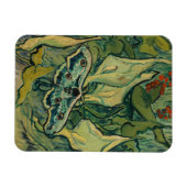 Vincent van Gogh - Giant Peacock Moth Magnet (Horizontal)
