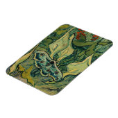 Vincent van Gogh - Giant Peacock Moth Magnet (Linke Seite)