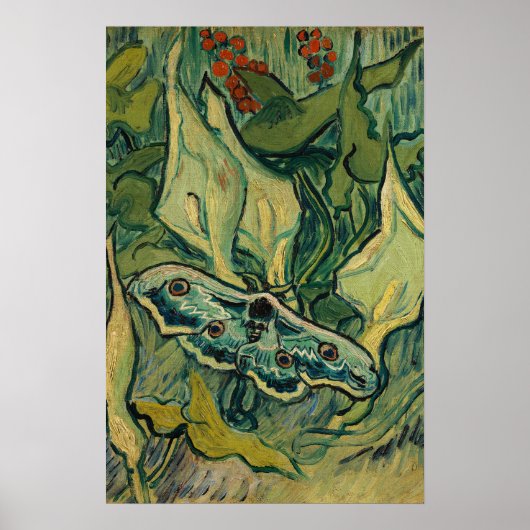 Vincent van Gogh - Giant Peacock Moth Poster (Vorne)