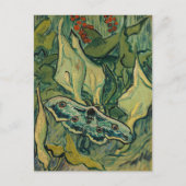 Vincent van Gogh - Giant Peacock Moth Postkarte (Vorderseite)
