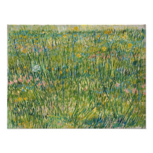 Vincent van Gogh - Grasfläche Fotodruck