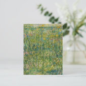 Vincent van Gogh - Grasfläche Postkarte (Stehend Vorderseite)