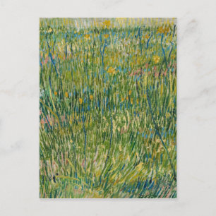 Vincent van Gogh - Grasfläche Postkarte