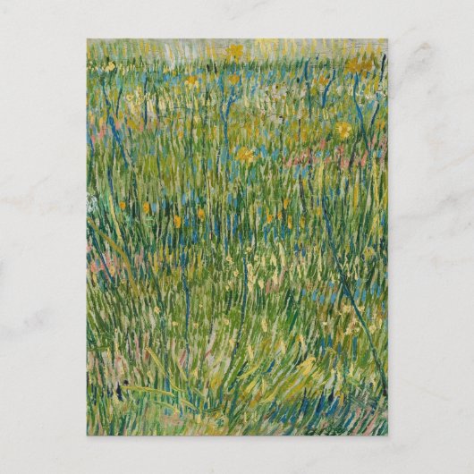 Vincent van Gogh - Grasfläche Postkarte (Vorderseite)