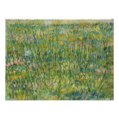 Vincent van Gogh - Graspflaster Fotodruck (Vorne)