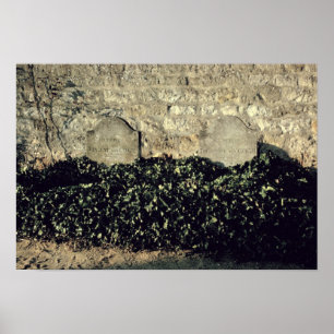 Vincent van Gogh Graves, Vincent, Theo van Gogh Poster