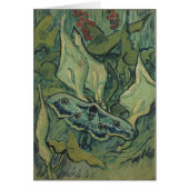 Vincent van Gogh - Great Peacock Moth (Vorne)