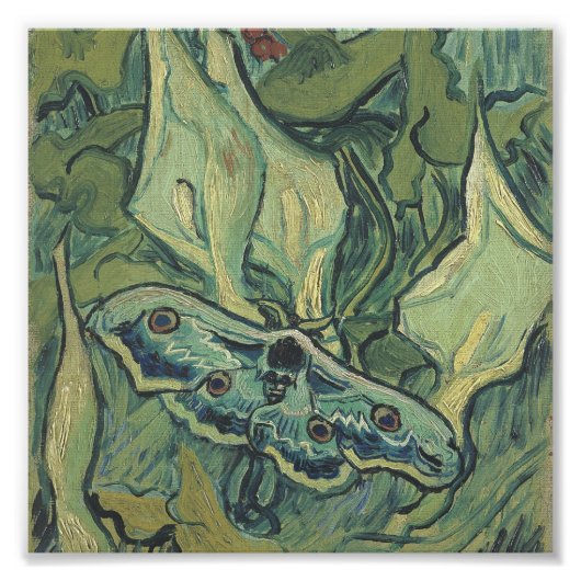 Vincent Van Gogh - Great Peacock Moth Fotodruck (Vorne)