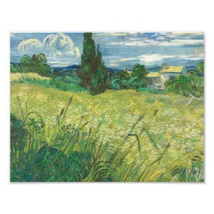 Vincent van Gogh - Green Field Fotodruck