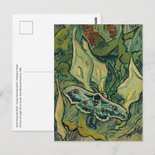 Vincent van Gogh - Großer Pfauenspinner Postkarte