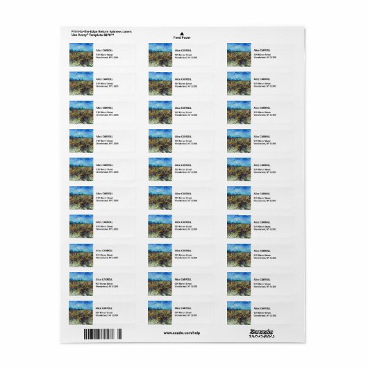 Vincent van Gogh - Grüner Weinberg (Vorne)