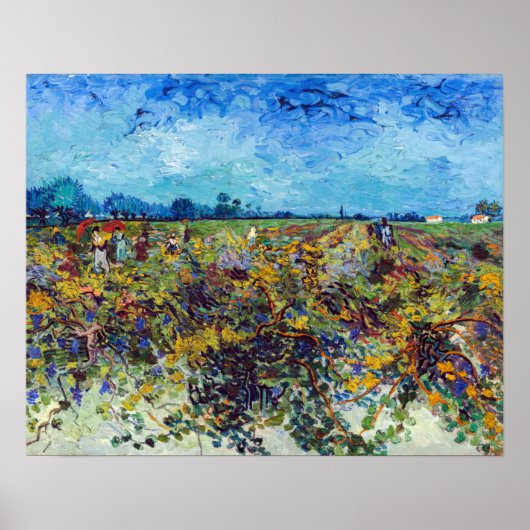 Vincent van Gogh - Grüner Weinberg Poster (Vorne)
