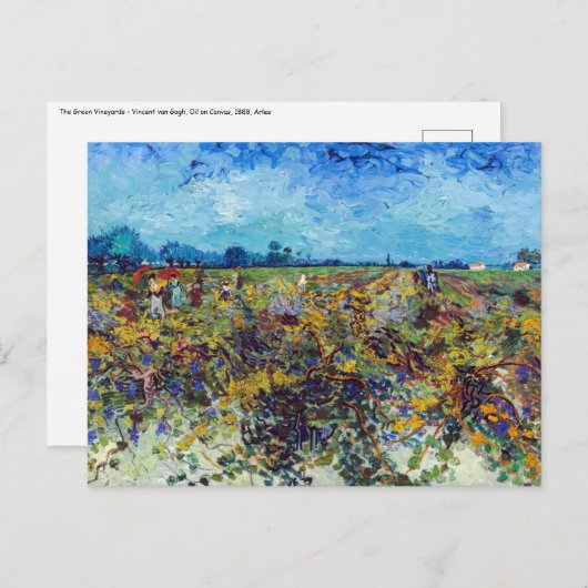 Vincent van Gogh - Grüner Weinberg Postkarte (Vorne/Hinten)
