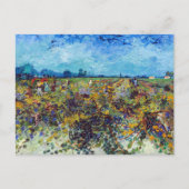 Vincent van Gogh - Grüner Weinberg Postkarte (Vorderseite)