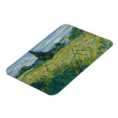 Vincent Van Gogh, Grünes Weizenfeld mit Cypress Magnet (Linke Seite)