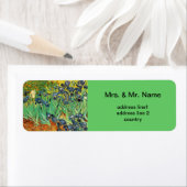 Vincent van Gogh, Ire (Insitu)