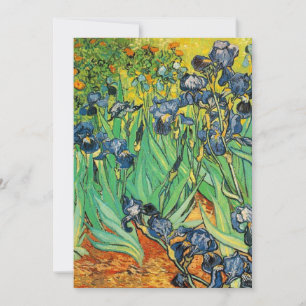 Vincent van Gogh, Ire