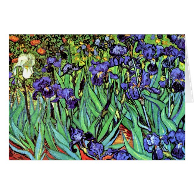Vincent Van Gogh - Ire - Blume Lover Fine Art (Vorderseite (Horizontal))