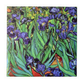 Vincent Van Gogh - Ire - Blume Lover Fine Art Fliese (Vorderseite)
