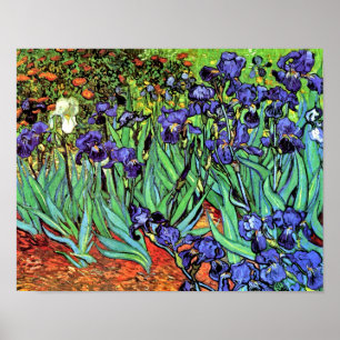 Vincent Van Gogh - Ire - Blume Lover Fine Art Poster