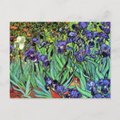 Vincent Van Gogh - Ire - Blume Lover Fine Art Postkarte (Vorderseite)