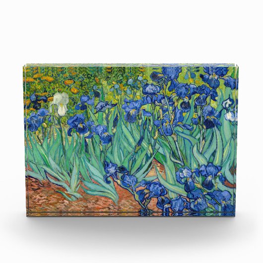 Vincent Van Gogh - Ire Fotoblock (Vorderseite)