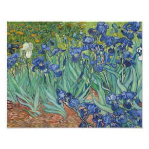 Vincent van Gogh - Ire Fotodruck