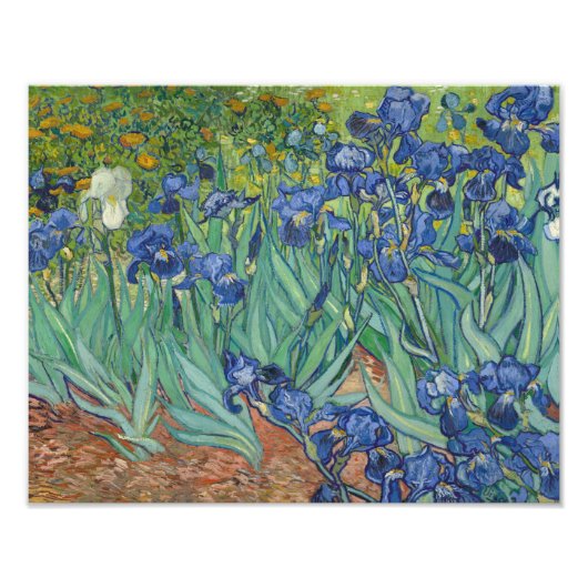 Vincent van Gogh - Ire Fotodruck (Vorne)