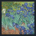 Vincent Van Gogh - Ire Fotodruck<br><div class="desc">Vincent Van Gogh - Ire</div>